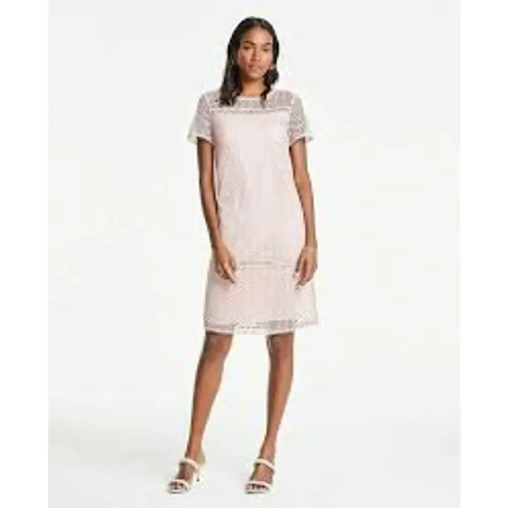 Ann Taylor Petite Shift Lined Lace Overlay Dress Blush Dusty Rose Size 4P - Picture 2 of 8
